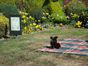 Picture by Elizabeth Gandy