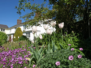 George and Rene Bennett. Picture by Jim Brearley