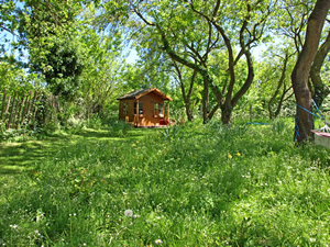 Rosemary and Mike Livings. Picture by Jim Brearley