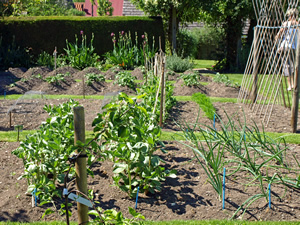 Janet and Brian Crouch. Picture by Jim Brearley