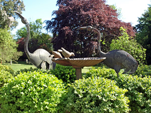 Ro and David Gadian. Picture by Jim Brearley