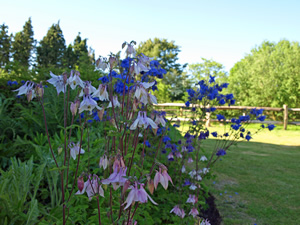 Sarah and Tim Scott. Picture by Jim Brearley